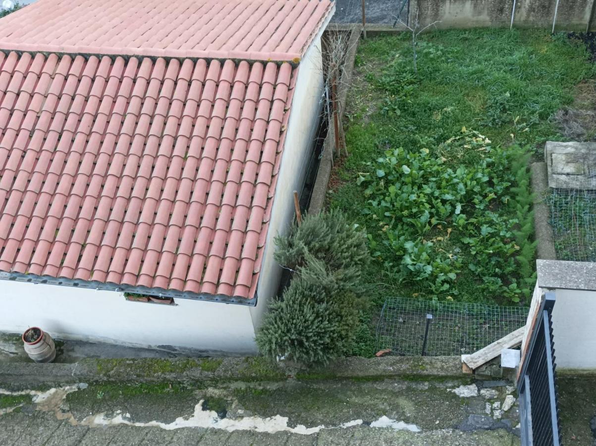 Affittacamere Piagge Орвието Экстерьер фото